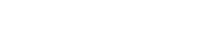 Damon Pla Fine Arts Logo